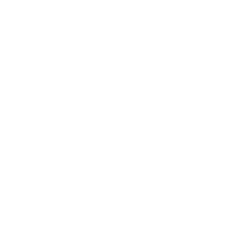 Online & Offline Security